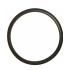 Prestige Triply Steel cooker gasket