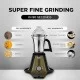 PREETHI MIXER GRINDER 1000 WATTS 110 VOLTS FOR USA CANADA PREETHI MIXER GRINDER 1000 WATTS 110 VOLTS FOR USA CANADA